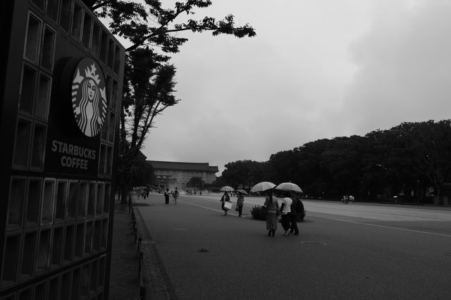 DP1M4107.jpg