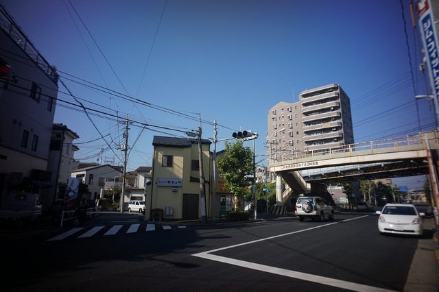 DSC00013.jpg