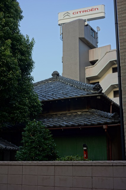DSC00114.jpg