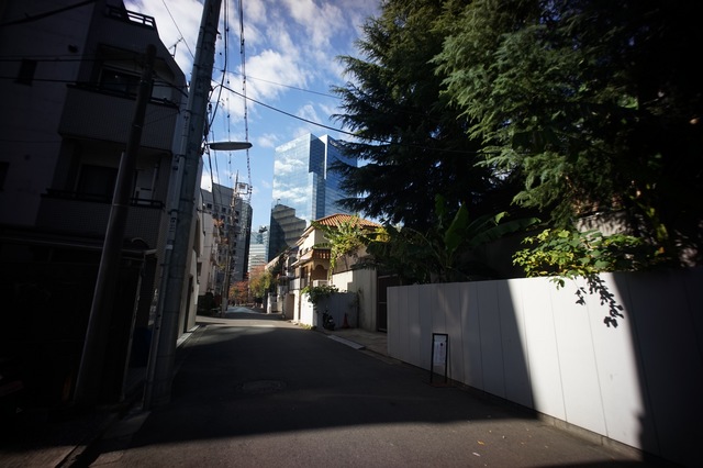 DSC00217.jpg