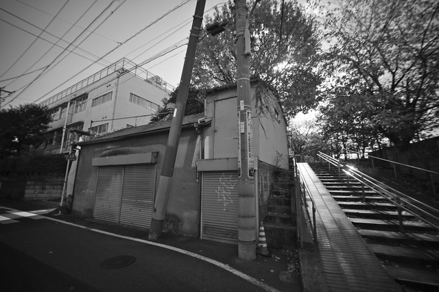 DSC00228.jpg