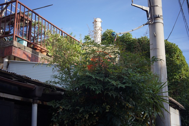DSC00368.jpg