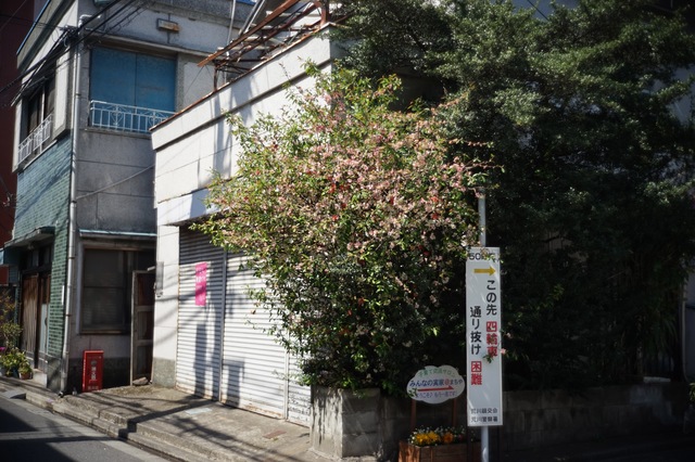 DSC01269.jpg