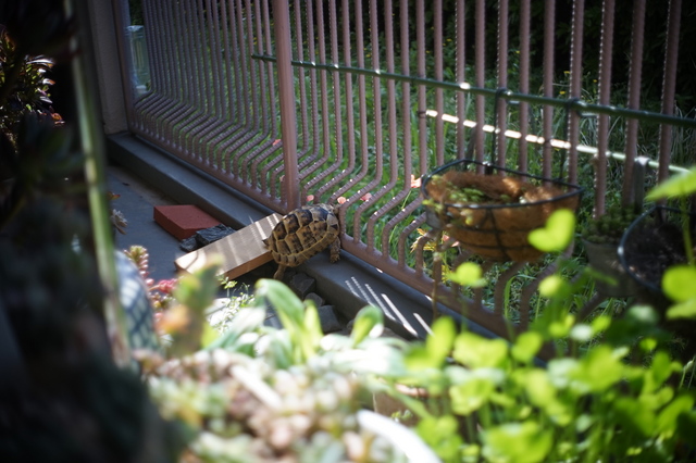DSC01373.jpg