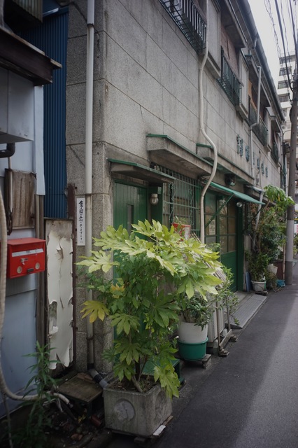 DSC01606.jpg