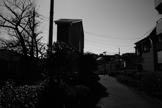 DSC04212.jpg