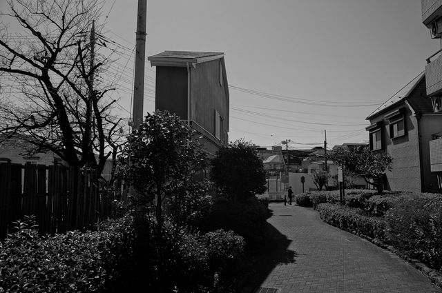 DSC04213.jpg