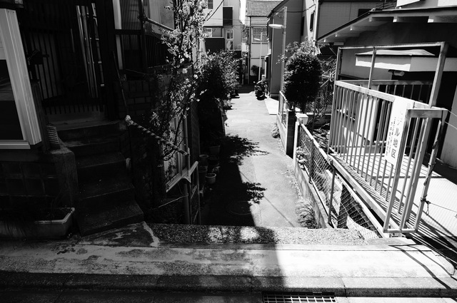DSC04214.jpg