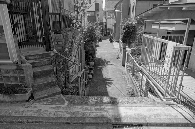DSC04215.jpg