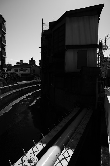 DSC04222.jpg