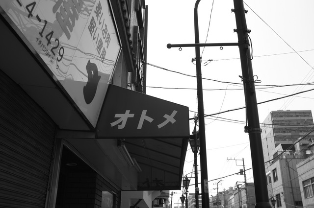 DSCF0808.jpg