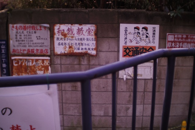 IMGP0071.jpg