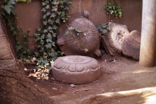IMGP0076.jpg