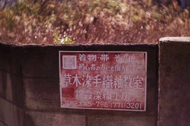 IMGP0080.jpg