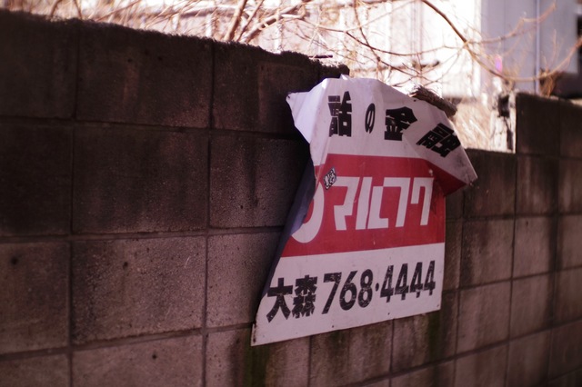 IMGP0083.jpg