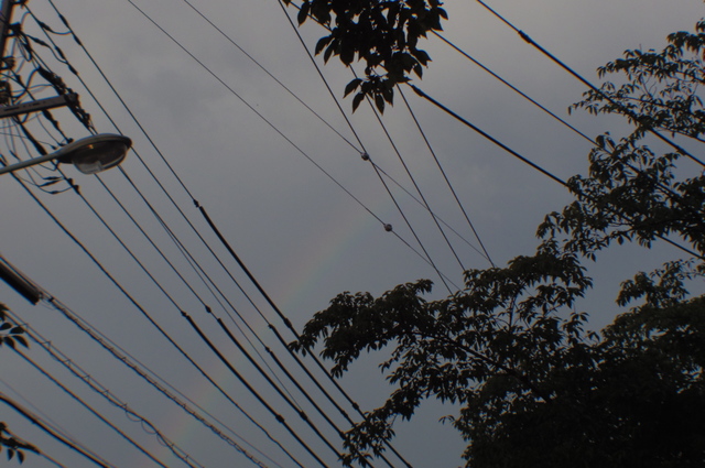 IMGP0464.jpg