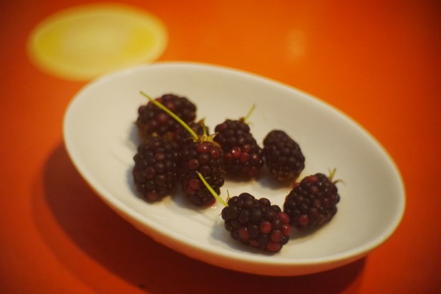 P1000529.jpg