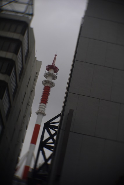 P1000531.jpg