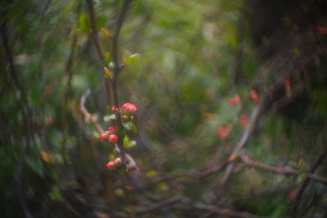 P2280555.jpg